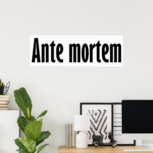 Ante mortem poster (Heimbüro)