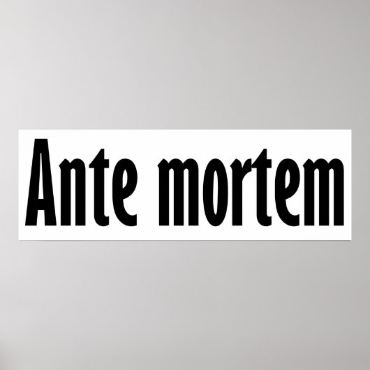 Ante mortem poster (Vorne)