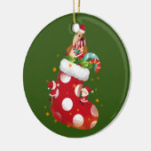 Anteater Christmas Socken Keramik Ornament (Links)