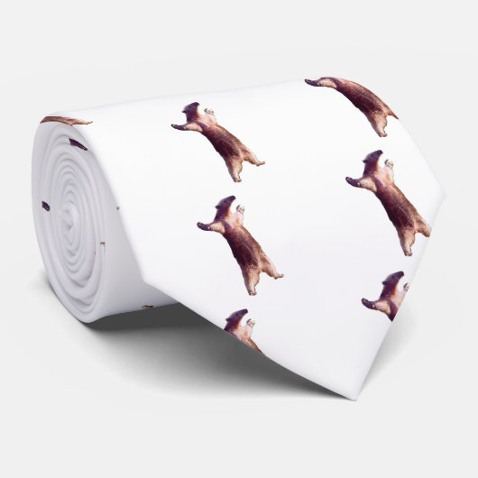 Anteater Krawatte (Gerollt)