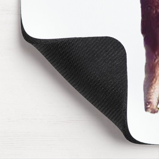 Anteater Mousepad (Ecke)