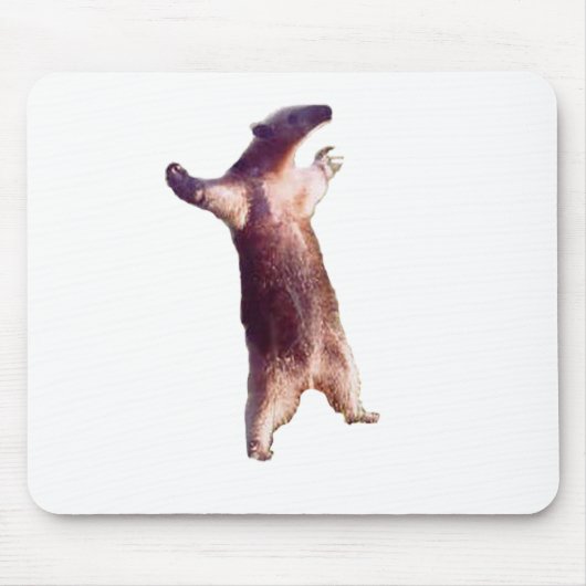 Anteater Mousepad (Vorne)