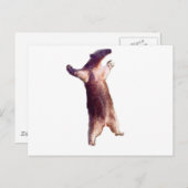 Anteater Postkarte (Vorne/Hinten)
