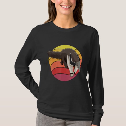 Anteater Retro Sunset Ant Bear Anteaters T-Shirt (Vorderseite)