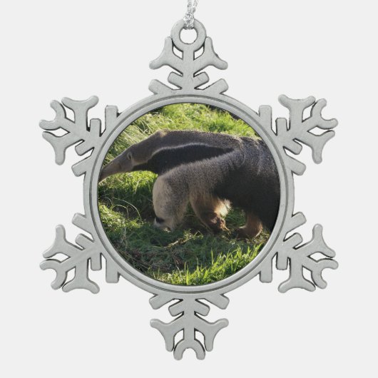 Anteater Schneeflocken Zinn-Ornament (Vorderseite)