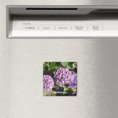 Anteile der Lila Hydrangea Magnet (In Situ (Geschirrspüler))