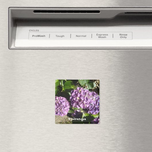 Anteile der Lila Hydrangea Magnet (In Situ (Geschirrspüler))