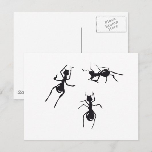 ANTEILE POSTKARTE (Vorne/Hinten)