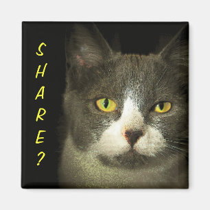 ANTEILEN? Got Leftovers? Hugery Kitty Magnet
