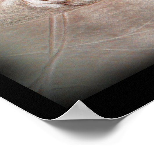 Antelope Art Poster (Ecke)