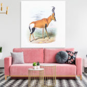 Antelope, aus dem Buch Antelopes, Leinwanddruck (Insitu (Wohnzimmer))