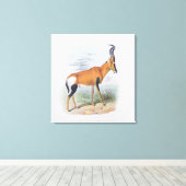Antelope, aus dem Buch Antelopes, Leinwanddruck (Insitu (Holzboden))