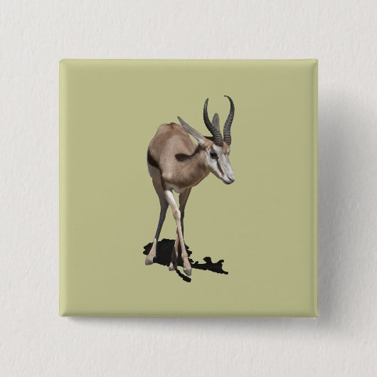 Antelope Baby Button (Vorderseite)