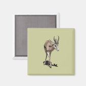 Antelope Baby Magnet (Vorderseite/Rückseite)