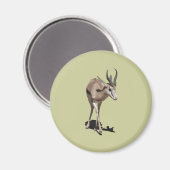 Antelope Baby Magnet (Vorderseite/Rückseite)