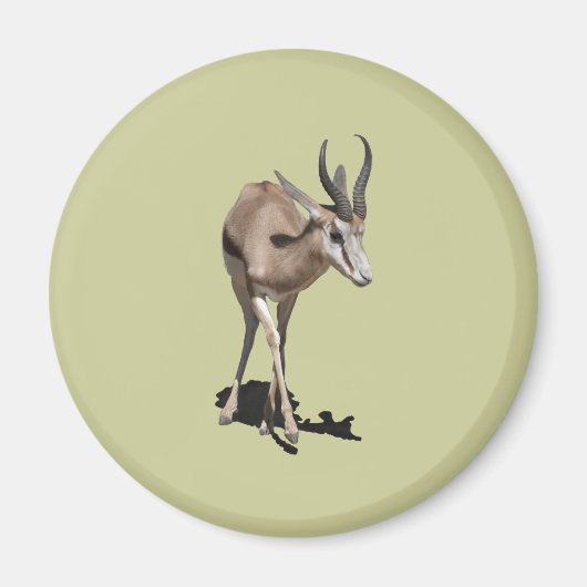 Antelope Baby Magnet (Vorne)