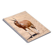 Antelope blesbok notizblock (Rechte Seite)