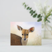 Antelope Bushbuck Young African Deer Zeichnend Postkarte (Stehend Vorderseite)