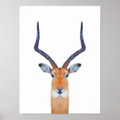 Antelope | Gasele Poster (Vorne)