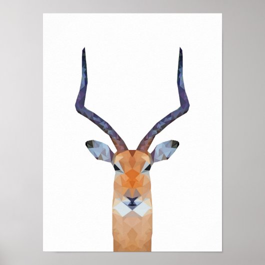 Antelope | Gasele Poster (Vorne)