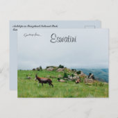 Antelope in Swasiland Nationalpark Eswatini Postkarte (Vorne/Hinten)