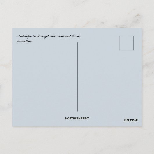 Antelope in Swasiland Nationalpark Eswatini Postkarte (Rückseite)