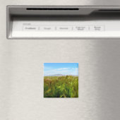 Antelope Island & Field of Green Magnet (In Situ (Geschirrspüler))
