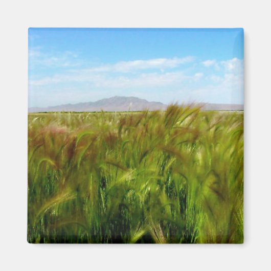 Antelope Island & Field of Green Magnet (Vorne)