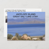 Antelope Island Great Salt Lake Postkarte (Vorne/Hinten)