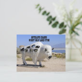 Antelope Island Great Salt Lake Utah Postcard Postkarte (Stehend Vorderseite)