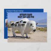 Antelope Island Great Salt Lake Utah Postcard Postkarte (Vorne/Hinten)