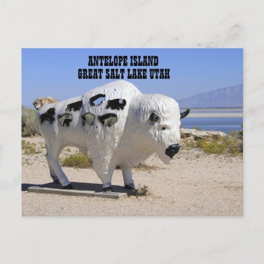 Antelope Island Great Salt Lake Utah Postcard Postkarte (Vorderseite)