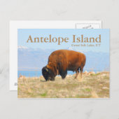 Antelope Island, Great Salt Lake, Utah Postcard Postkarte (Vorne/Hinten)
