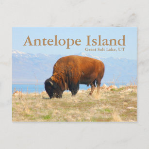 Antelope Island, Great Salt Lake, Utah Postcard Postkarte