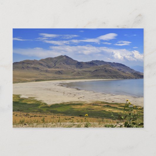 Antelope Island Staat Park, Great Salt Lake, Postkarte (Vorderseite)