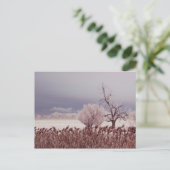 Antelope Island - Utah - Postkarte gefroren (Stehend Vorderseite)