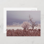 Antelope Island - Utah - Postkarte gefroren (Vorne/Hinten)