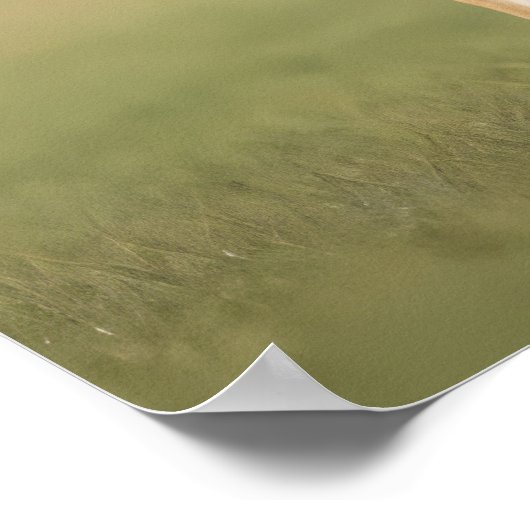 Antelope Jackrabbit stehend auf Gras Poster (Ecke)