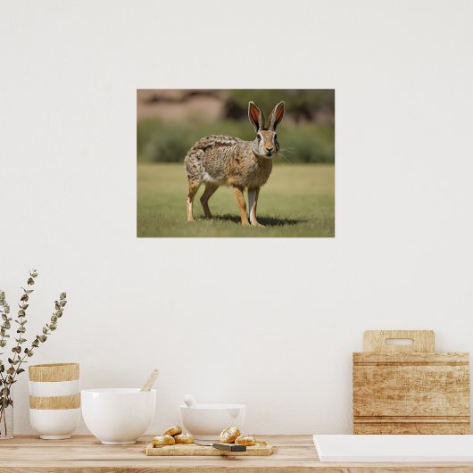 Antelope Jackrabbit stehend auf Gras Poster (Küche)