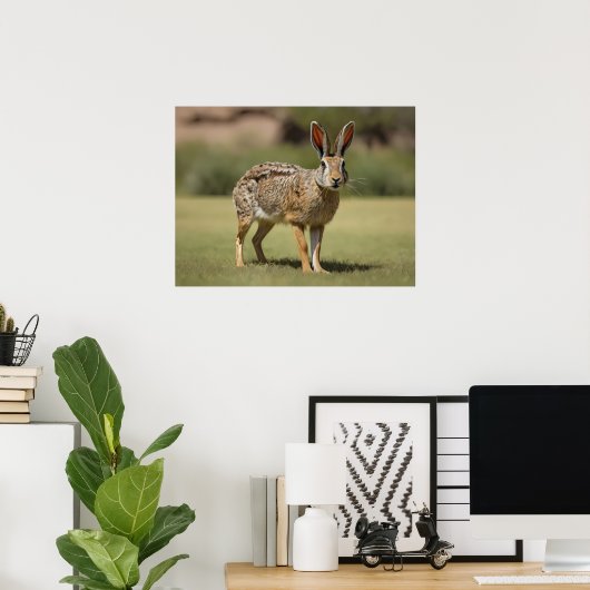 Antelope Jackrabbit stehend auf Gras Poster (Heimbüro)