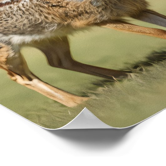 Antelope Jackrabbit stehend auf Gras Poster (Ecke)