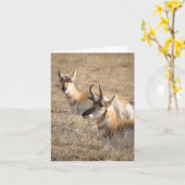 Antelope Morning - Thank You Card Karte (Gelbe Blume)
