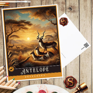 Antelope   Niedliche Vintage Tierpostkarte Postkarte