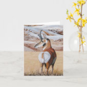 Antelope Note Card 2 Karte (Gelbe Blume)