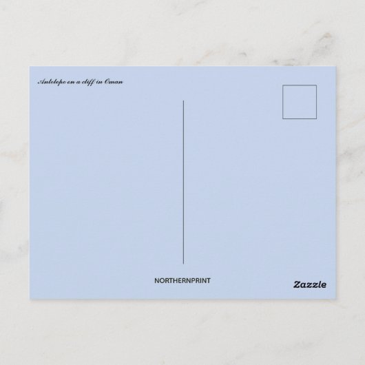 Antelope on a Cliff in Oman Postkarte (Rückseite)