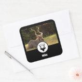 Antelope Silhouette Name Tag Foto Quadratischer Aufkleber (Umschlag)