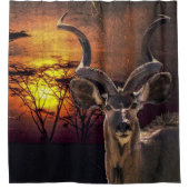 Antelope Sunset Foto Collage Duschvorhang (Vorderseite)