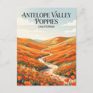 Antelope Valley California Poppy Reserve USA Postkarte