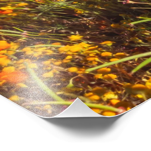 Antelope Valley Fotodruck (Ecke)