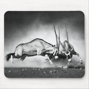 Antelopes-Kampf-Maus-Pad Mousepad